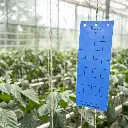 22_02 144.65ec788a.webp