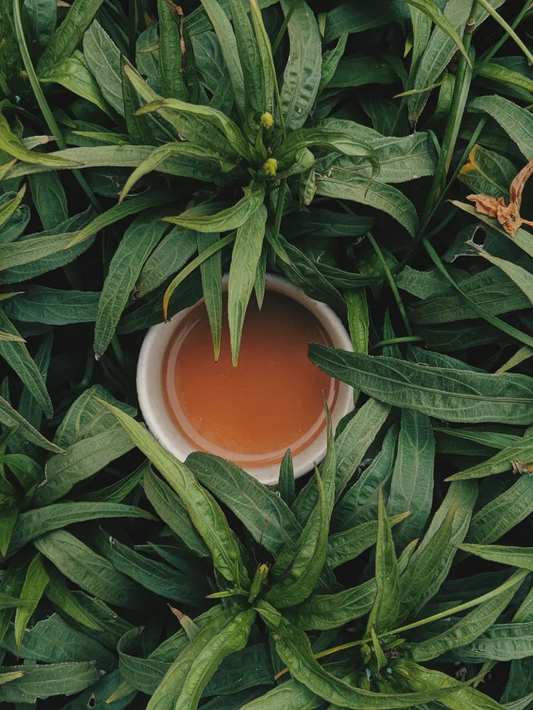 unsplash_Qaor6nxikUM_Tea.jpg.webp