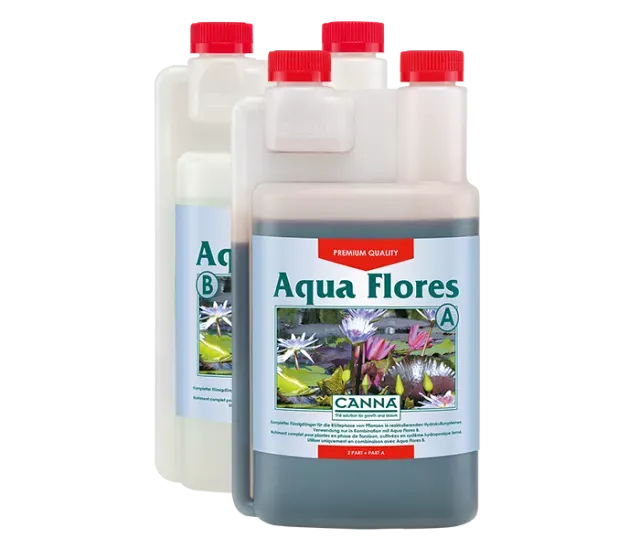 prod-canna-aqua-flores.png.webp