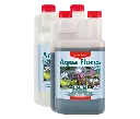 prod-canna-aqua-flores.png.webp