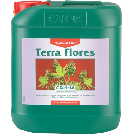 Canna Terra Flores