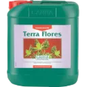 Canna Terra Flores