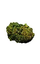 Dunum Myrtillus (Blueberry)
