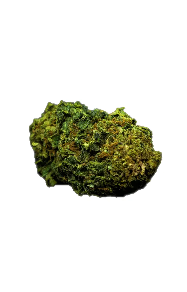 Dunum Myrtillus (Blueberry)