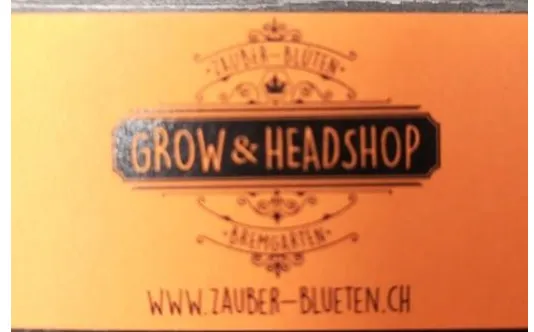 Zauber - Blüten Grow & Headshop Filter 250