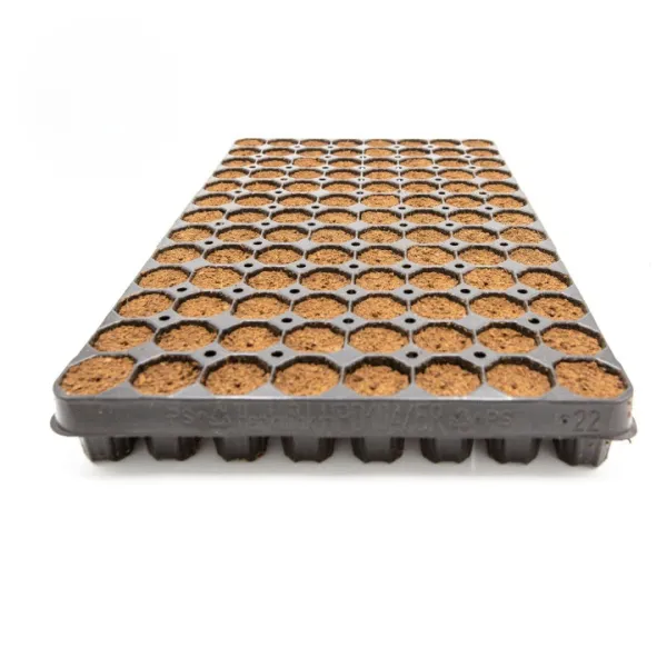 [46576547458] Intra Plug 104er Tray Coco (Single)