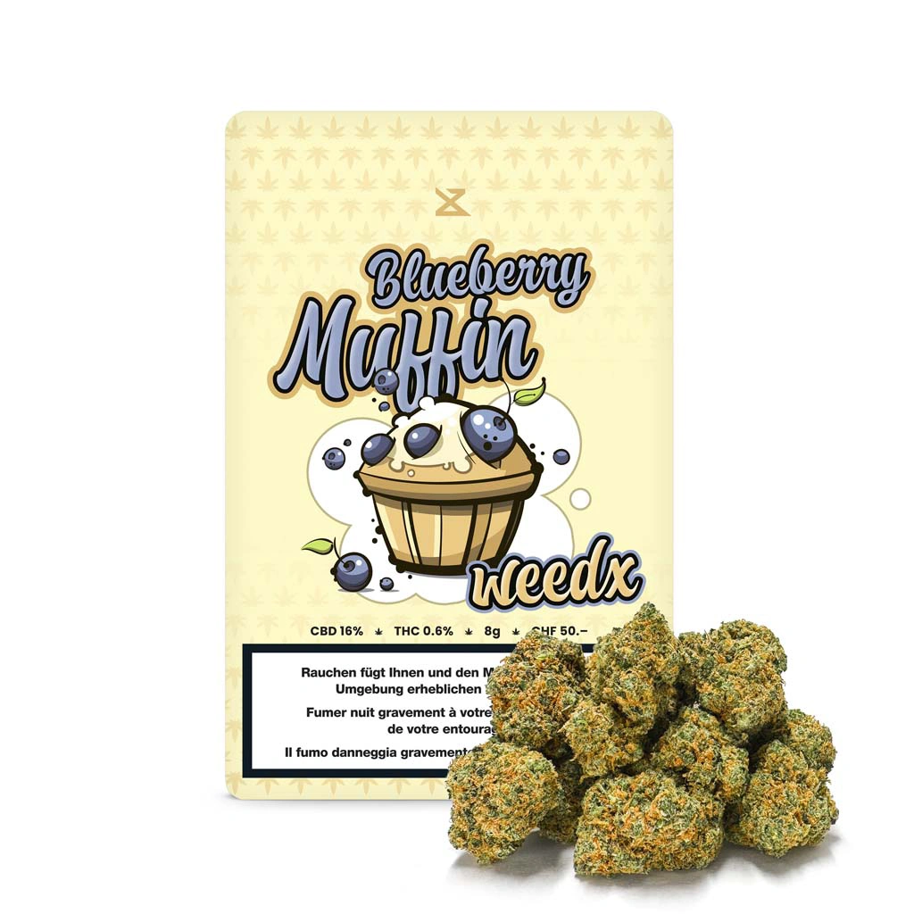 Blueberry Muffin