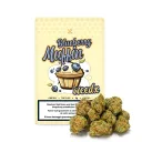 Blueberry Muffin
