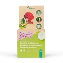 Andermatt Biogarten RosaSan und RosaForte