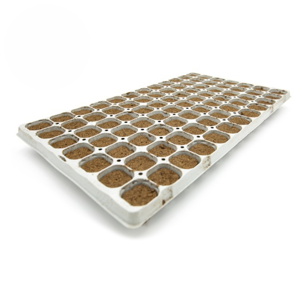 Cannsa 84 Tray Plugs