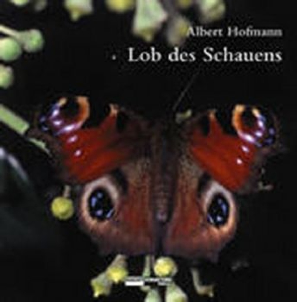 A. Hofmann  Lob des Schauens