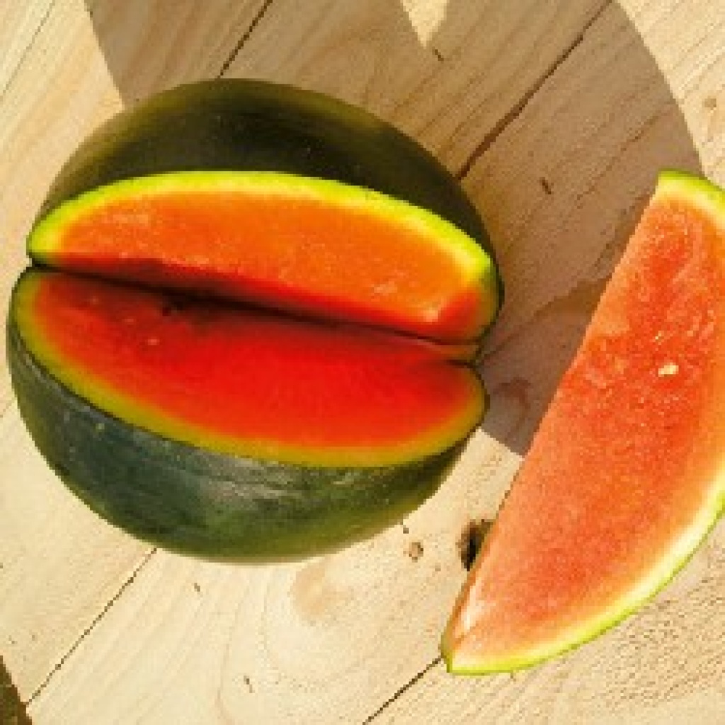 [SA-me23] Wassermelone Sugar Baby