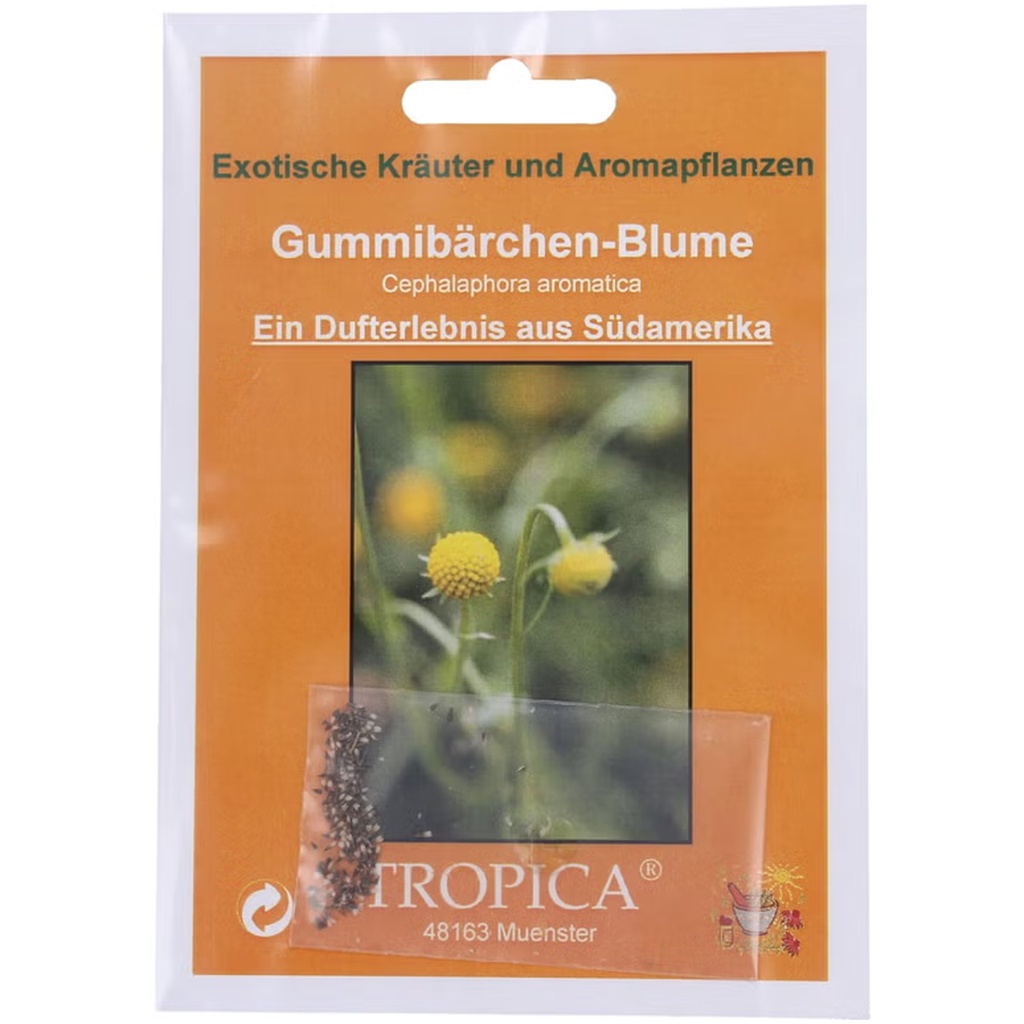 [TP-20346] Tropica Gummibärchen-Blume Cephalaphora aromatica