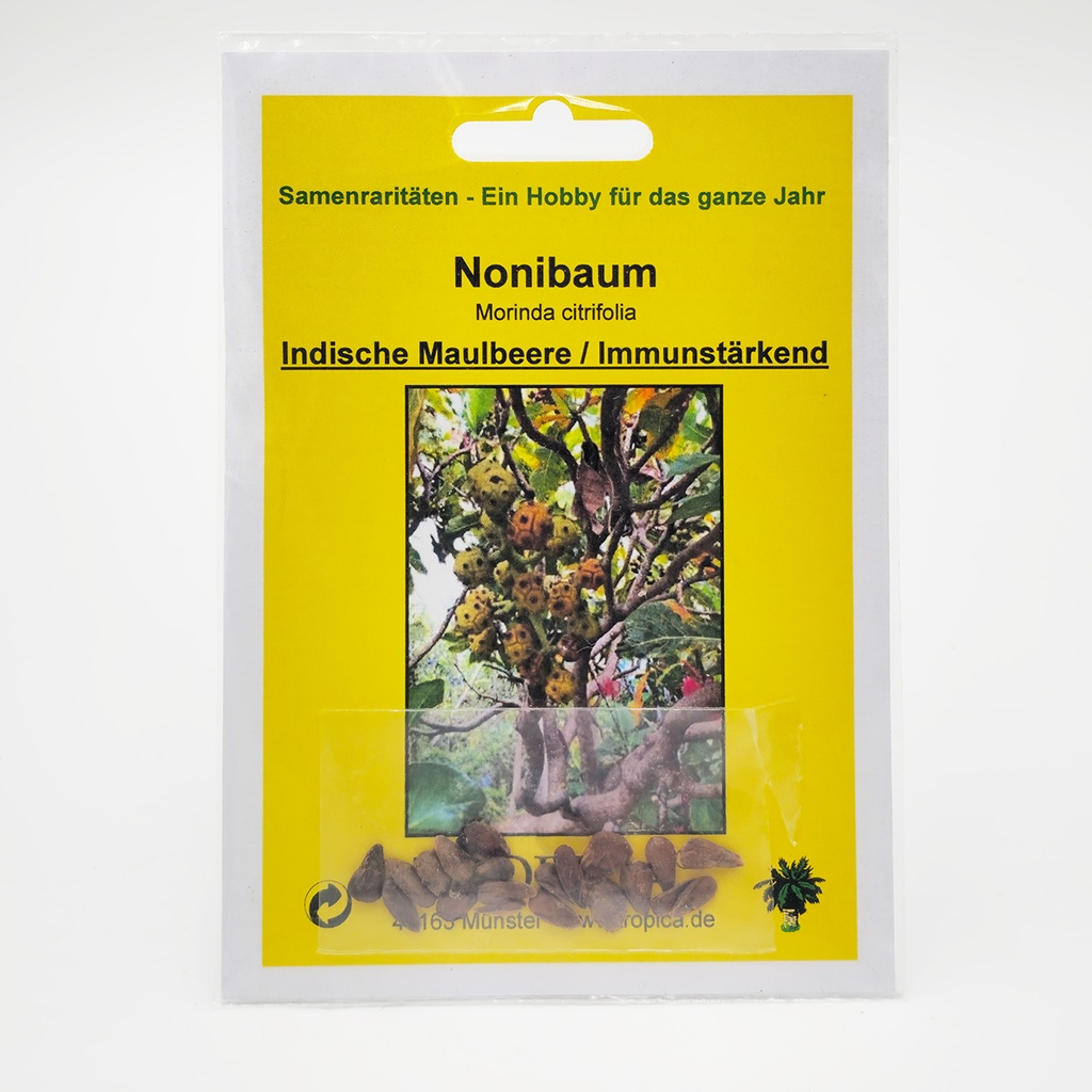 Tropica Nonibaum (Morinda citrifolia) - 20 Samen
