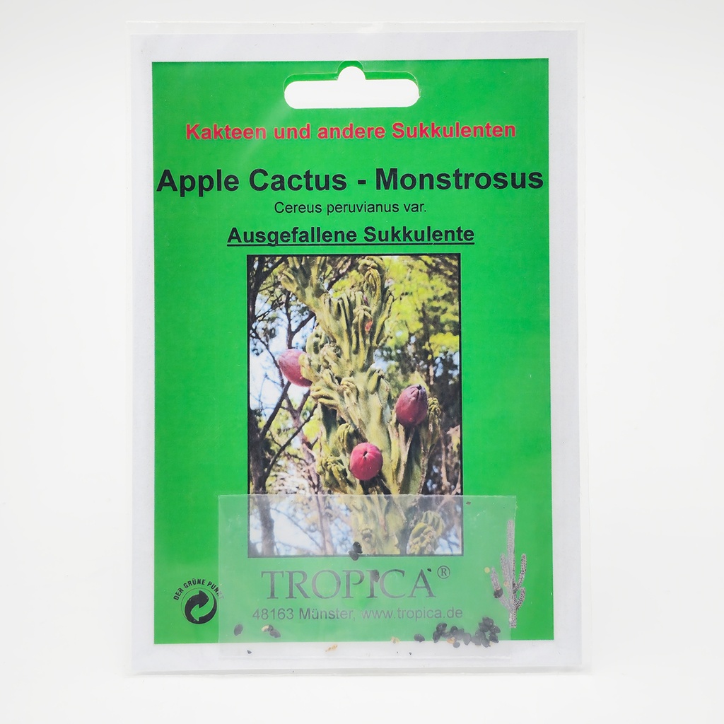 [TP-19453] Tropica Kakteen - Apple Cactus - Monstrosus (Cereus peruvianus var.) - 20 Samen