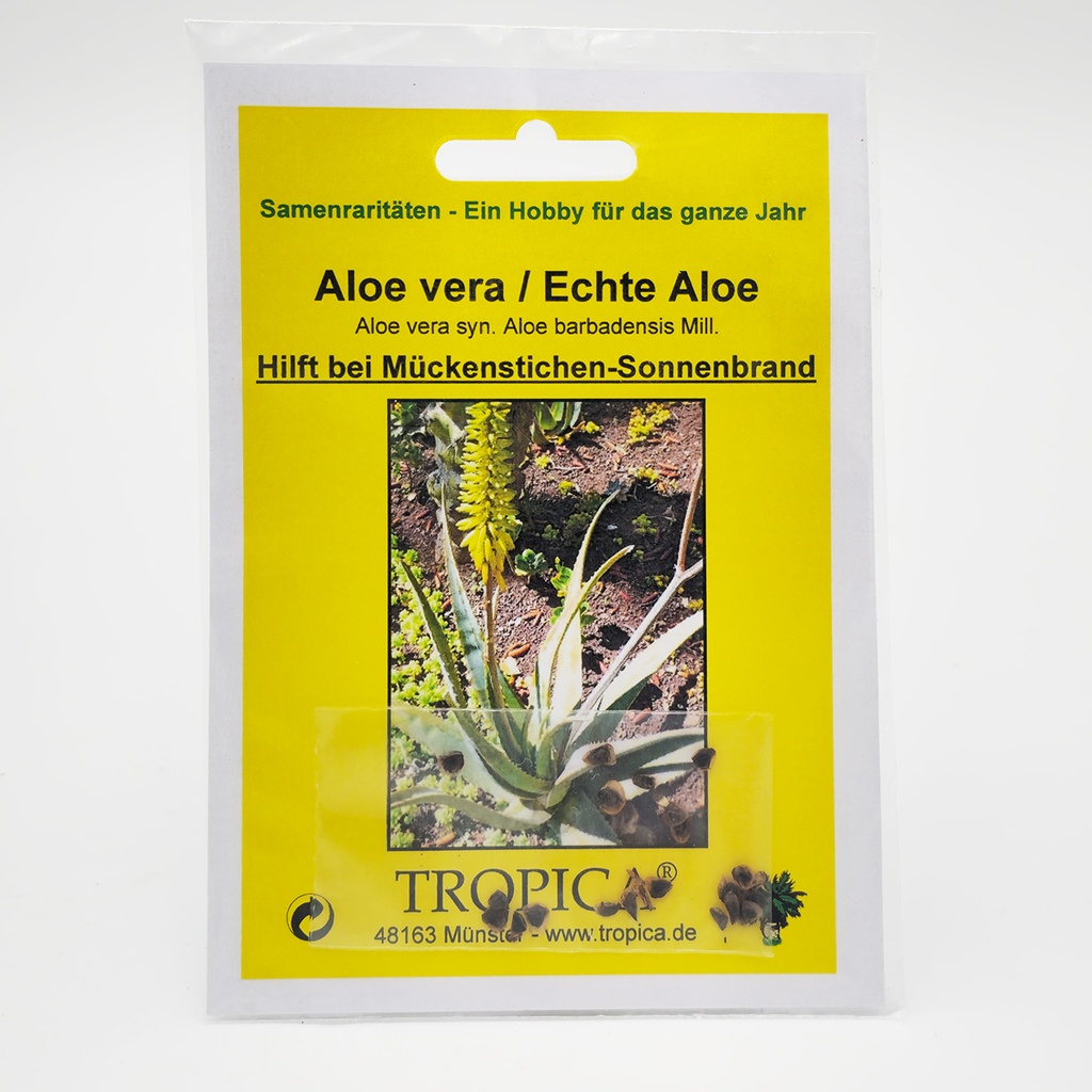 Tropica Aloe vera / Echte Aloe (Aloe vera syn. Aloe barbadensis Mill.) - 10 Samen