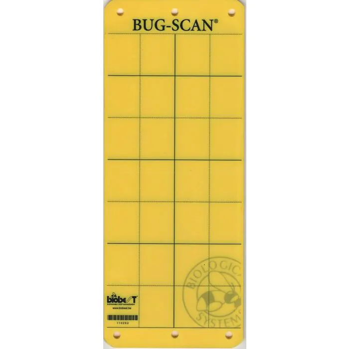 [000200271] Gelbfallen Biobest Bug-Scan (10 Stk./Pack)